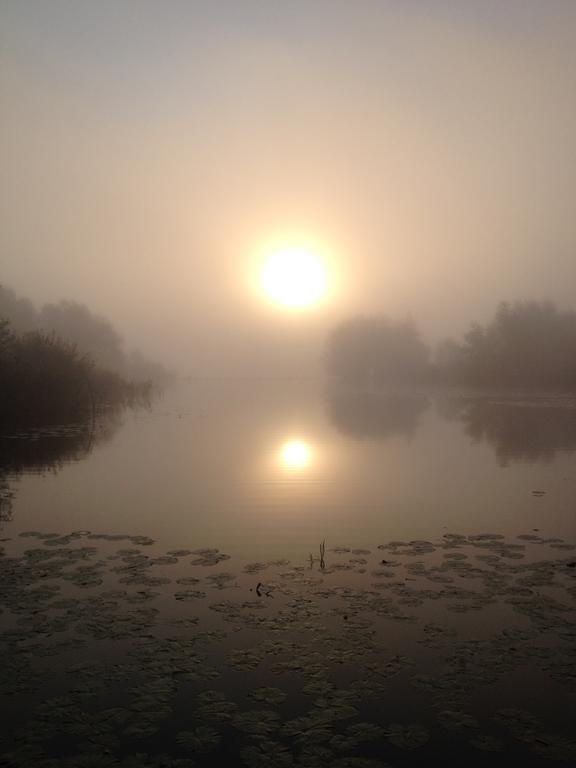 Studio Lakeside Spiegelplas Nederhorst den Berg Szoba fotó