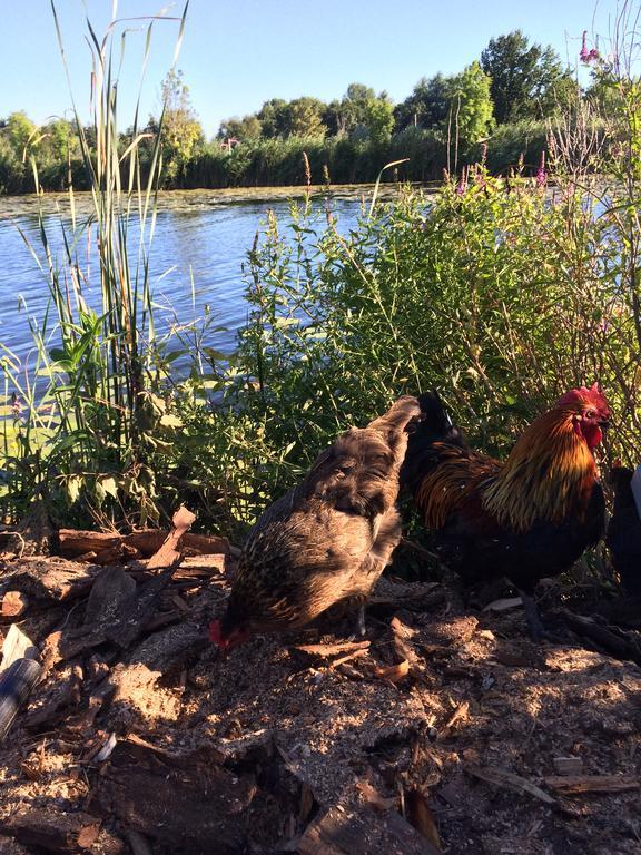 Studio Lakeside Spiegelplas Nederhorst den Berg Kültér fotó